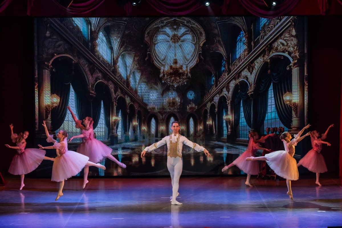 Профессиональные педагоги